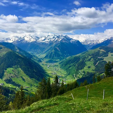 Hochalmbahnen 8w1, Waldrebe, Nahe Gondel, Hunde Willkommen Rauris