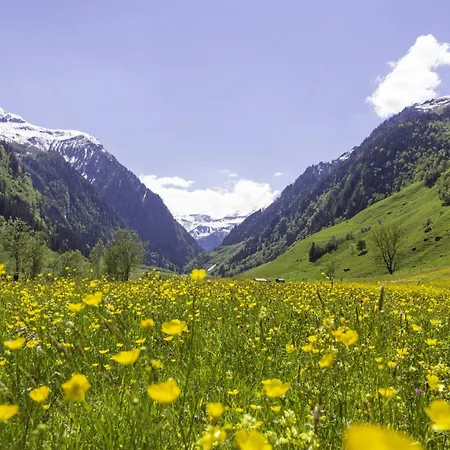 Διαμέρισμα Hochalmbahnen Chalets 8W1, Waldrebe, Nahe Gondel, Hunde Willkommen