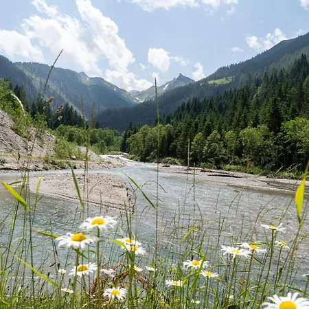 Lägenhet Hochalmbahnen 8w1, Waldrebe, Nahe Gondel, Hunde Willkommen