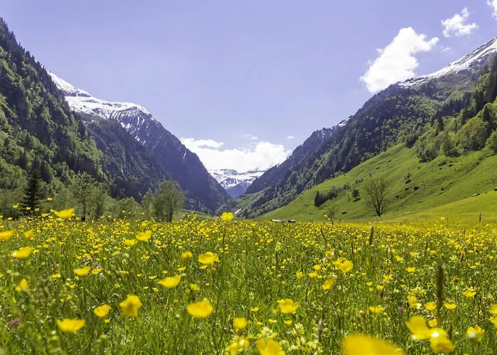Διαμέρισμα Hochalmbahnen Chalets 8W1, Waldrebe, Nahe Gondel, Hunde Willkommen