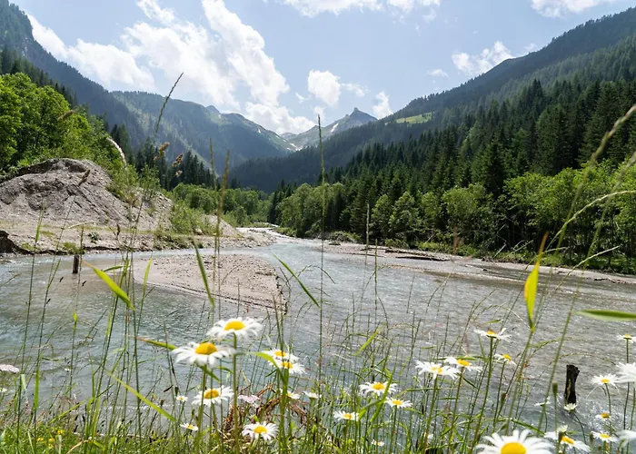 Διαμέρισμα Hochalmbahnen Chalets 8W1, Waldrebe, Nahe Gondel, Hunde Willkommen